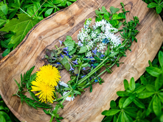 Wild, Wald und Wiese Wild, Wald und Wiese